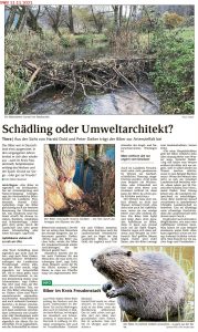 Artikel vom 12.11.21 aus dem Schwarzwälder Boten zum Thema Biber im Landkreis Freudenstadt